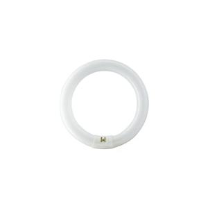 TUBO FLUORESCENTE CIRCULAR 40W Ø40cm TRIFOSFORO 865K LUZ FR…