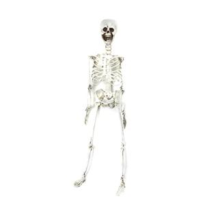 NOPEILVI Decoración de Halloween, Esqueleto de tamaño Natur…