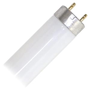 Osram LUMILUX T8 - LÃƒ¡mpara fluorescente, G13L 36 W/865