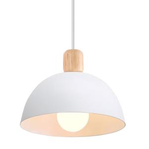 iDEGU Lámpara de Techo Moderna, 20CM LED Lámpara Colgante e…