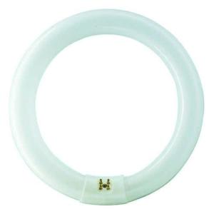 TUBO FLUORESCENTE CIRCULAR 22W Ø21cm TRIFOSFORO 840K LUZ DI…