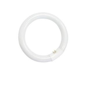 Tubo fluorescente circular T9 40W G10q 6400K
