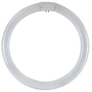 Tubo fluorescente trifosforo circular Duralamp . G10q . 4 p…