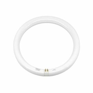 Fbright Led Tubo Led Circular diámetro 300 mm G10Q 16,5 W 6…