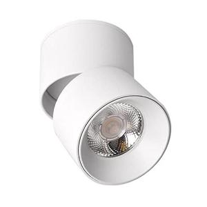FAZRPIP Focos de Techo LED montados en Superficie Mini Foco…