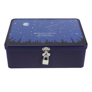 CALLARON Caja de almacenamiento de hierro vintage multiusos…