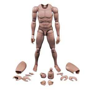 1/6 Cuerpo Masculino, 12'' Europa Piel Figura de Acción Cue…