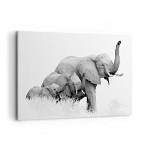 Cuadros Decoracion Salon Elefantes Familia Blanco Y Negro L…