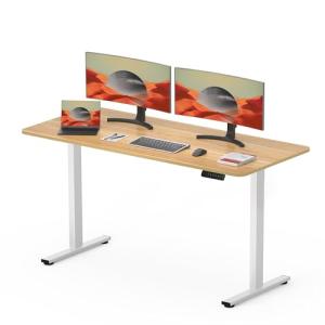SANODESK FQ1 120x60cm Escritorio Elevable Eléctrico con Tab…