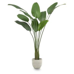 Maia Shop Plantas Artificiales Decorativas - Ave del Paraís…