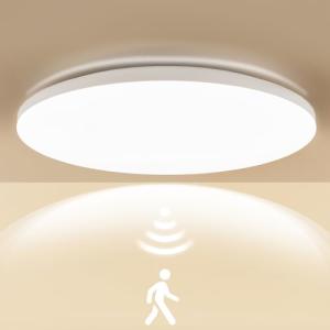 LEZOE 18W Luminaria de techo con sensor de movimiento, 2450…