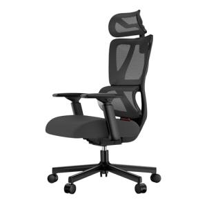 ProtoArc EC100 - Silla de Oficina ergonómica, Silla de Escr…