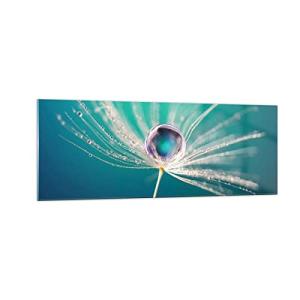 Vidrios decorativos planta naturaleza Cuadro Sobre Vidrio M…