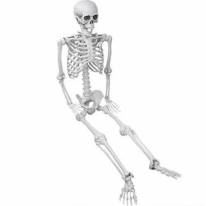 XONOR Esqueleto de Halloween Posable de 5,4 pies/165 cm, es…
