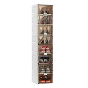 Dripex Cajas de Zapatos Apilables, Instalación Rápida, Dura…