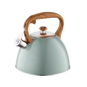 FLORINA 5C1090 Hervidor de agua, acero inoxidable, verde ma…