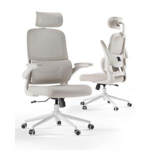Hbada P102 Silla ergonomica Escritorio, Silla de Oficina Gr…
