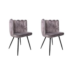 HOME DECO FACTORY Lote de 2 Ariel de Terciopelo Gris para M…