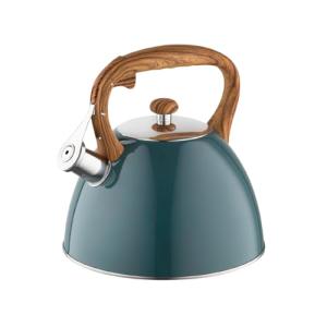 FLORINA 5C1092 Hervidor de agua, acero inoxidable, verde os…