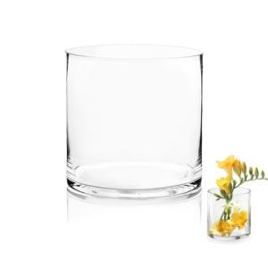 TSKDKIT Jarrón De Cristal Cilíndrico, Jarrones De Cristal,…