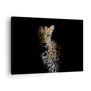 ARTTOR Lienzos decorativos Sombra Leopardo Pantera Cuadro S…