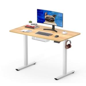 SANODESK Q1 Escritorio Elevable Eléctrico 100 x 60 cm, con…