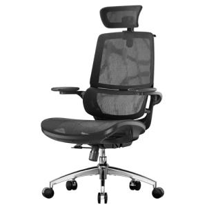SIHOO M59AS Silla de Oficina Ergonómica con Reposabrazos 3D…