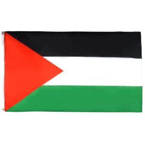 AZ FLAG Bandera de Palestina 150x90cm - Bandera Palestina 9…