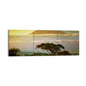 ARTTOR Cuadros Decoracion Salon Safari fauna montaña Kenia…