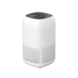 Amazon Basics - Purificador de aire, cubre hasta 12 m², con…