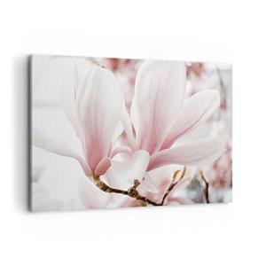 Cuadros Decoracion Salon Ramita Magnolia Flor Lienzos decor…