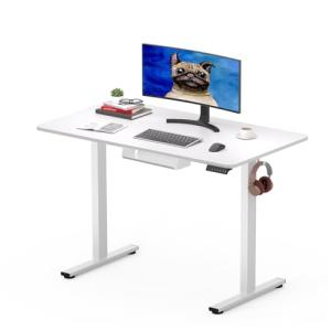 SANODESK Q1 Escritorio Elevable Eléctrico 100 x 60 cm, con…