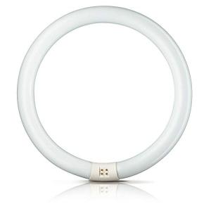 TUBO FLUORESCENTE CIRCULAR 40W Ø40cm TRIFOSFORO 840K LUZ DI…