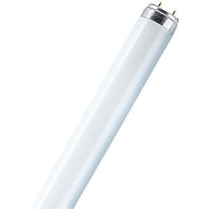 Osram. Tubo fluorescente T8 18w 865 G13. 598 X 26mm.