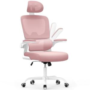 naspaluro Silla de Oficina Ergonómica con Soporte Lumbar, S…