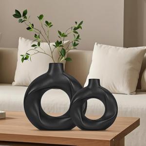 Charmofun Juego de 2 Jarrones Decorativos Modernos, Jarron…