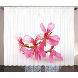 ABAKUHAUS geranios Cortinas, Verano Flores de la Flor, Sala…