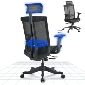 FLEXISPOT Silla de Oficina Ergonómica con Soporte Lumbar Di…