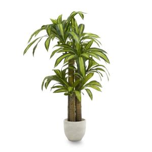 Maia Shop Plantas Artificiales Decorativas - Drácena Artifi…
