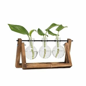 Hyindoor Jarrón Hidropónico con Soporte de Madera Florero d…