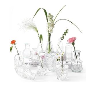 Florero Cristal Mini Jarrón Cristal,12 Jarrones Decorativos…