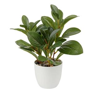Plantas Artificiales de 22 cm en macetas para la decoración…