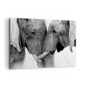 Cuadros Decoracion Salon Elefantes Safari Bond Lienzos deco…