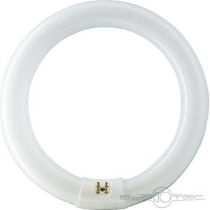 TUBO FLUORESCENTE CIRCULAR 32W Ø30cm TRIFOSFORO 840K LUZ DI…