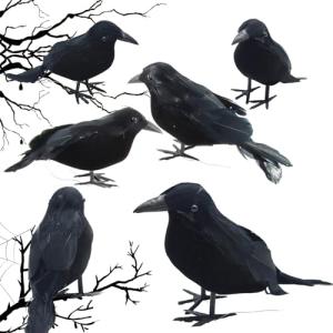 6 Piezas Cuervos de Halloween, ACTOYS Cuervo Negro Decoraci…