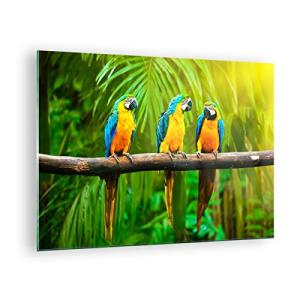 ARTTOR Vidrios decorativos Loros Collorful Naturaleza las a…