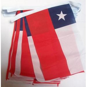 AZ FLAG Guirnalda 4 Metros 20 Banderas de Chile 15x10cm - B…