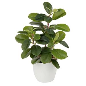 Plantas Artificiales de 22 cm en macetas para la decoración…