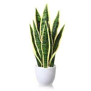 SOGUYI Plantas Artificiales Decorativas 40cm Sansevieria De…