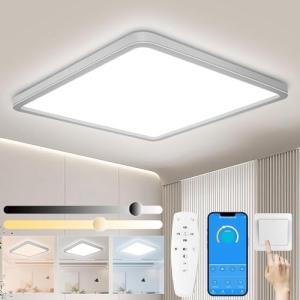 Yexati – Juego de plafón LED regulable 24 W, luz de techo c…